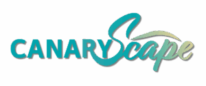 CanaryScape – Unique Holiday Homes in the Canary Islands | Book Your Escape Today • CanaryScape – Holiday home rentals in Gran Canaria • 29 de May de 2025