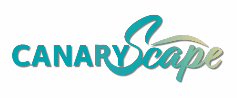 CanaryScape – Unique Holiday Homes in the Canary Islands | Book Your Escape Today • CanaryScape – Holiday home rentals in Gran Canaria • 29 de May de 2025
